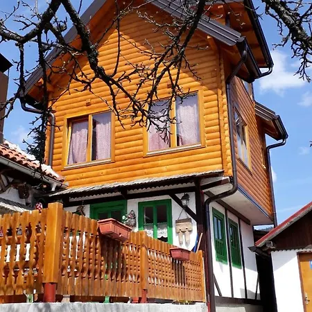 Orman Evi Sadrvan *