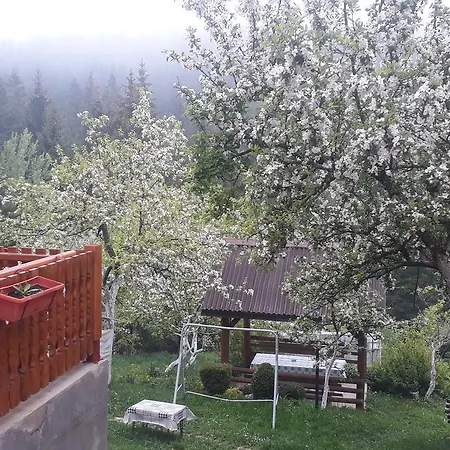 Sadrvan Orman Evi