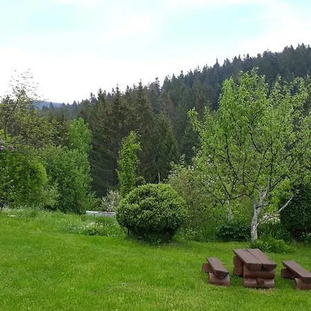 Orman Evi Sadrvan Ravne