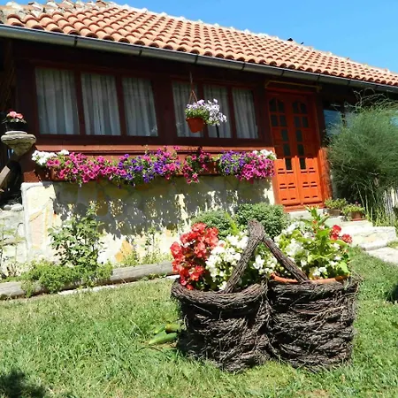 Orman Evi Sadrvan