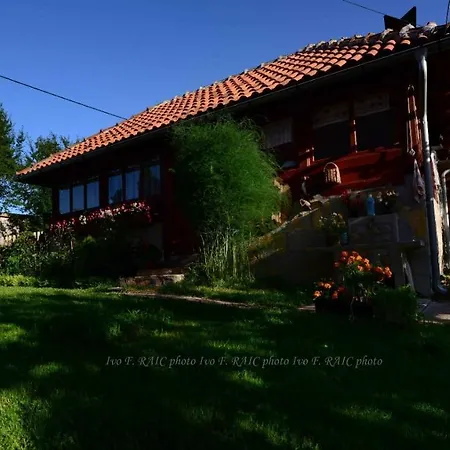 Orman Evi Sadrvan