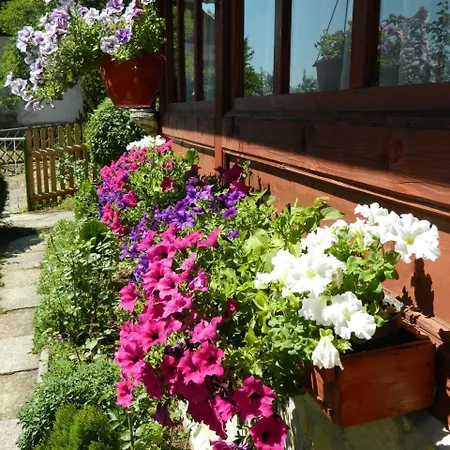 Sadrvan Orman Evi Ravne