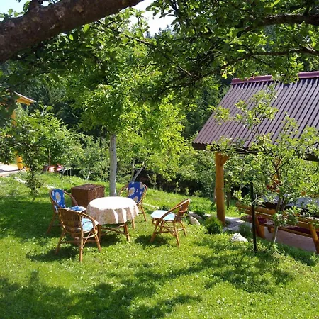 Orman Evi Sadrvan